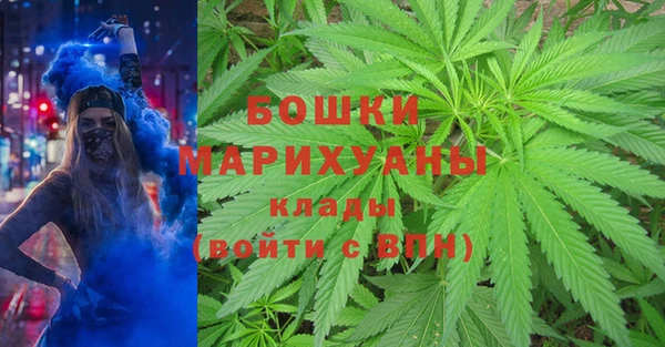 прущая мука Магас