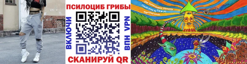 закладки  Ессентукская  ссылка на мегу   Галлюциногенные грибы мицелий 